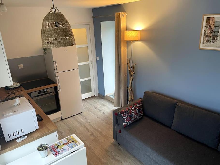 Villa La Halte Des Marais Huismes Esterno foto